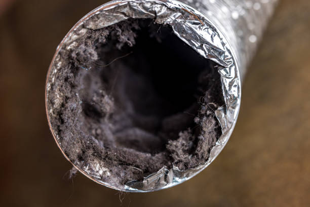 Best Affordable Duct Cleaning Services  in Shrub Oak, NY
